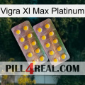 Vigra Xl Max Platinum new10